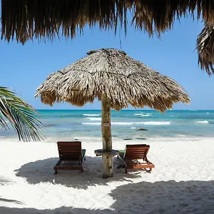 https://zamas-hotel.allrivieramayahotels.com